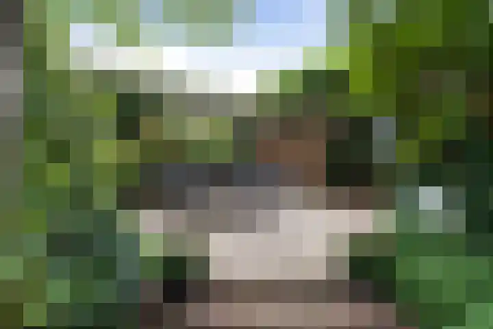 Heul 13 Hoeven thumbnail 38
