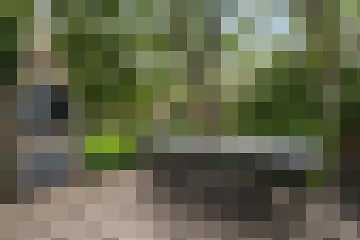 Heul 13 Hoeven thumbnail 39