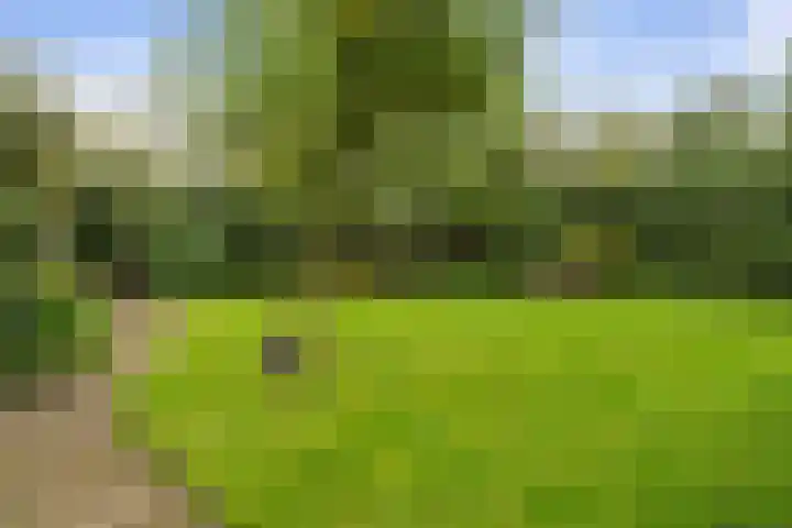 Heul 13 Hoeven thumbnail 4
