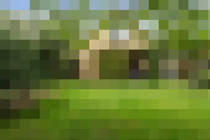 Heul 13 Hoeven thumbnail 40