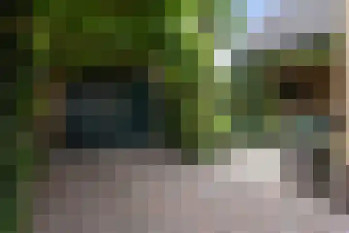 Heul 13 Hoeven thumbnail 41