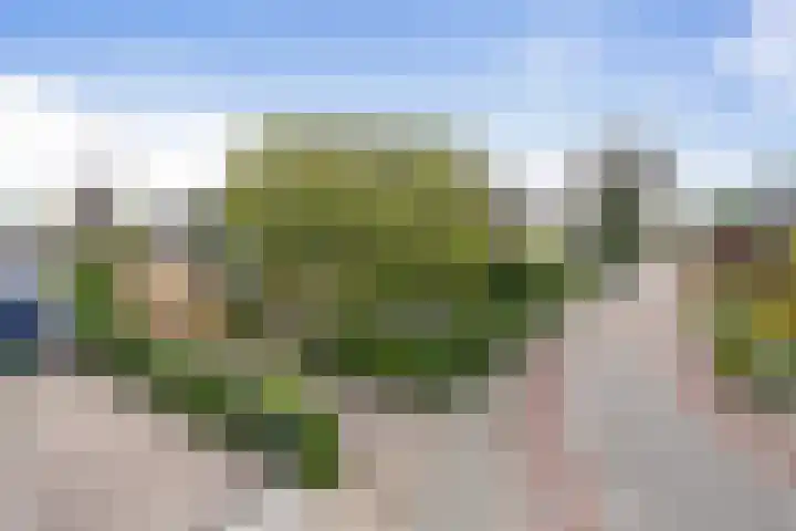 Heul 13 Hoeven thumbnail 45