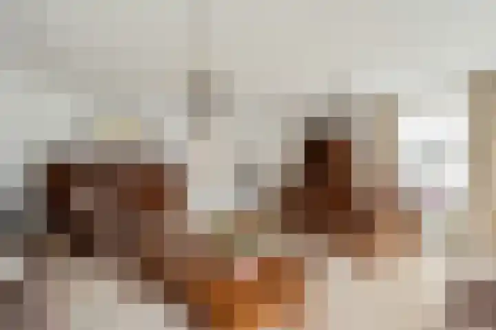 Heul 17 Hoeven thumbnail 10