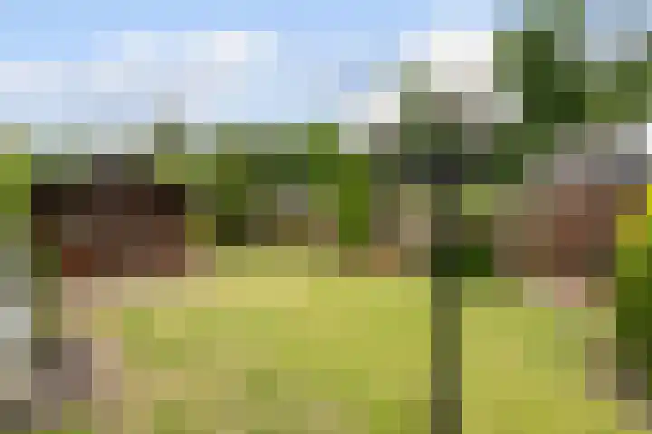 Heul 17 Hoeven thumbnail 27
