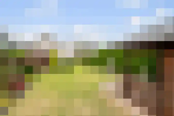 Heul 17 Hoeven thumbnail 29
