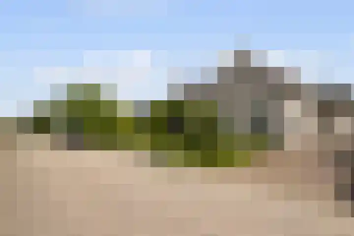 Heul 17 Hoeven thumbnail 32
