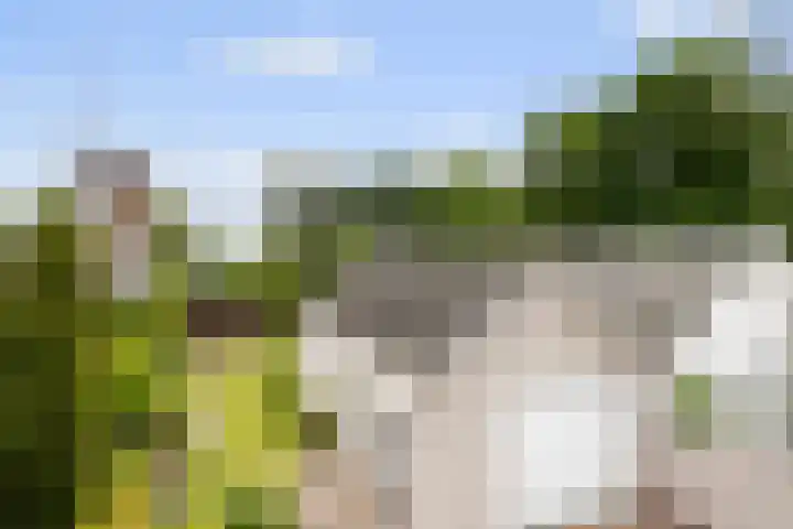 Heul 17 Hoeven thumbnail 5