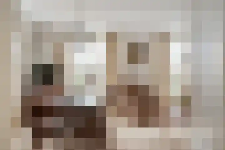 Heul 17 Hoeven thumbnail 7
