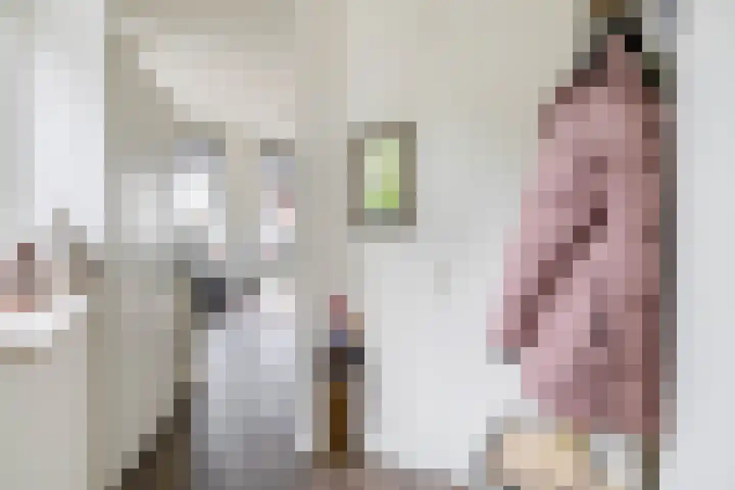 Heul 3 Dirksland thumbnail 10