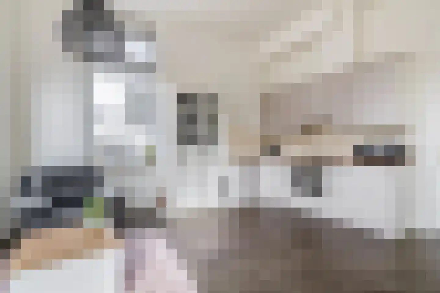 Heul 3 Dirksland thumbnail 13