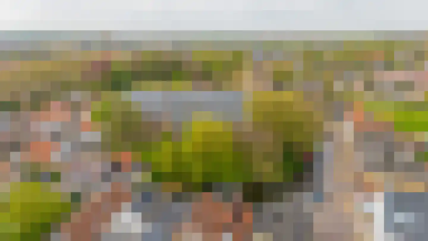 Heul 3 Dirksland thumbnail 4