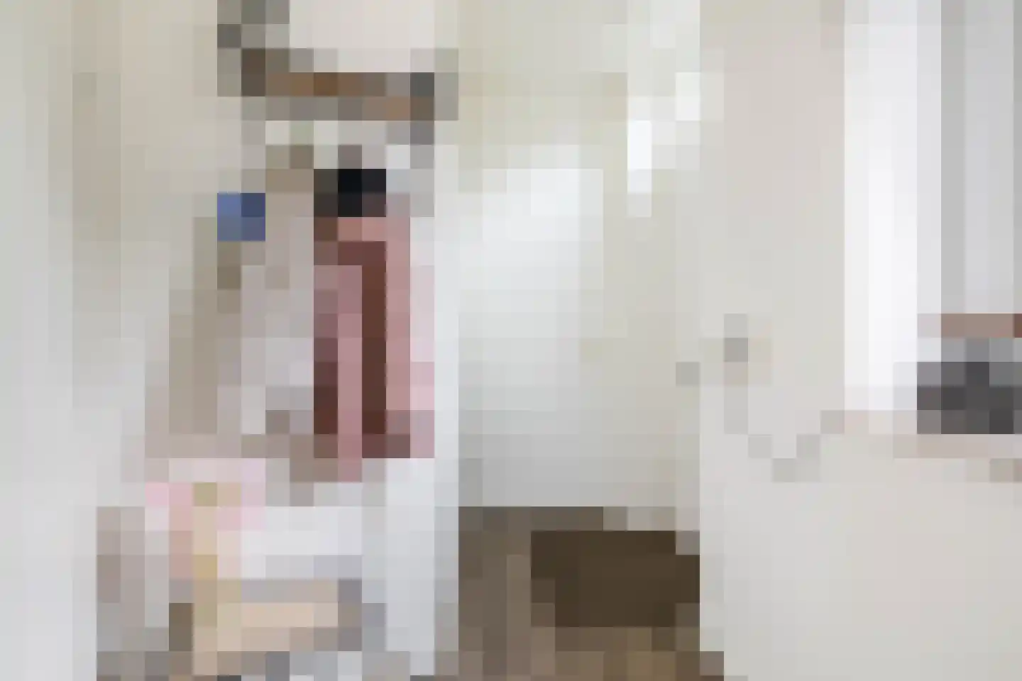 Heul 3 Dirksland thumbnail 9