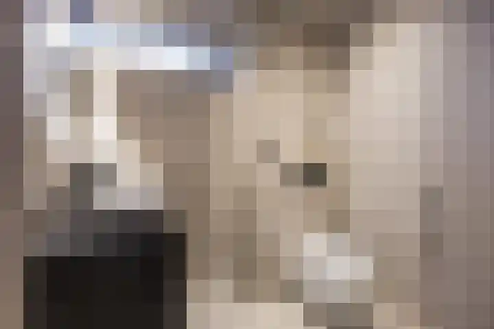 Heulbank 54 Best thumbnail 24