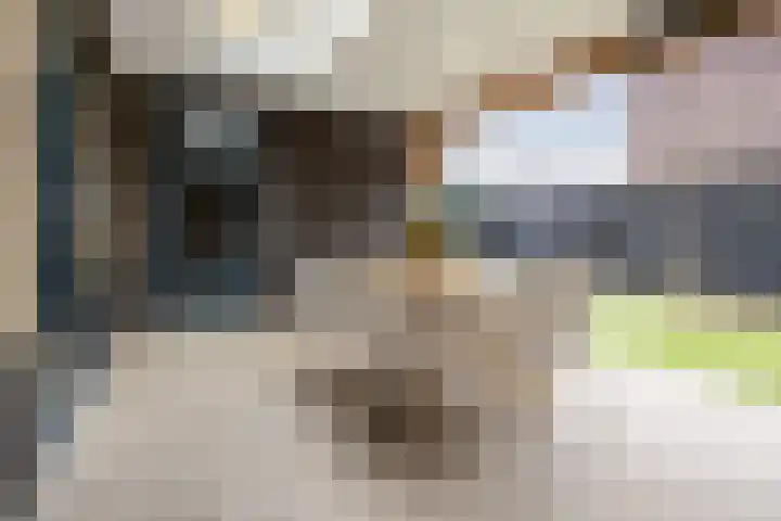 Heulbank 54 Best thumbnail 31