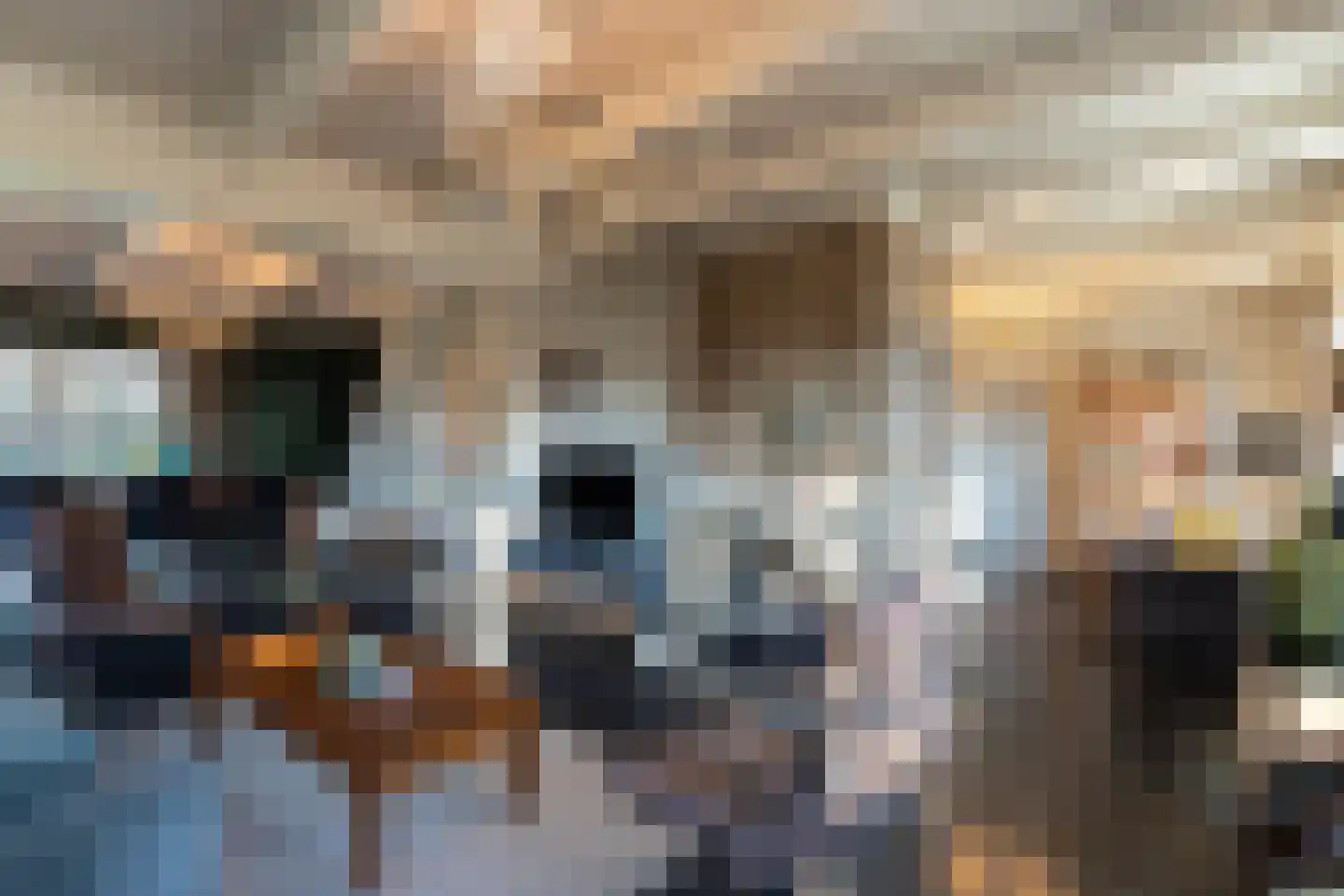 Heulenslag 61 Bleskensgraaf ca thumbnail 11