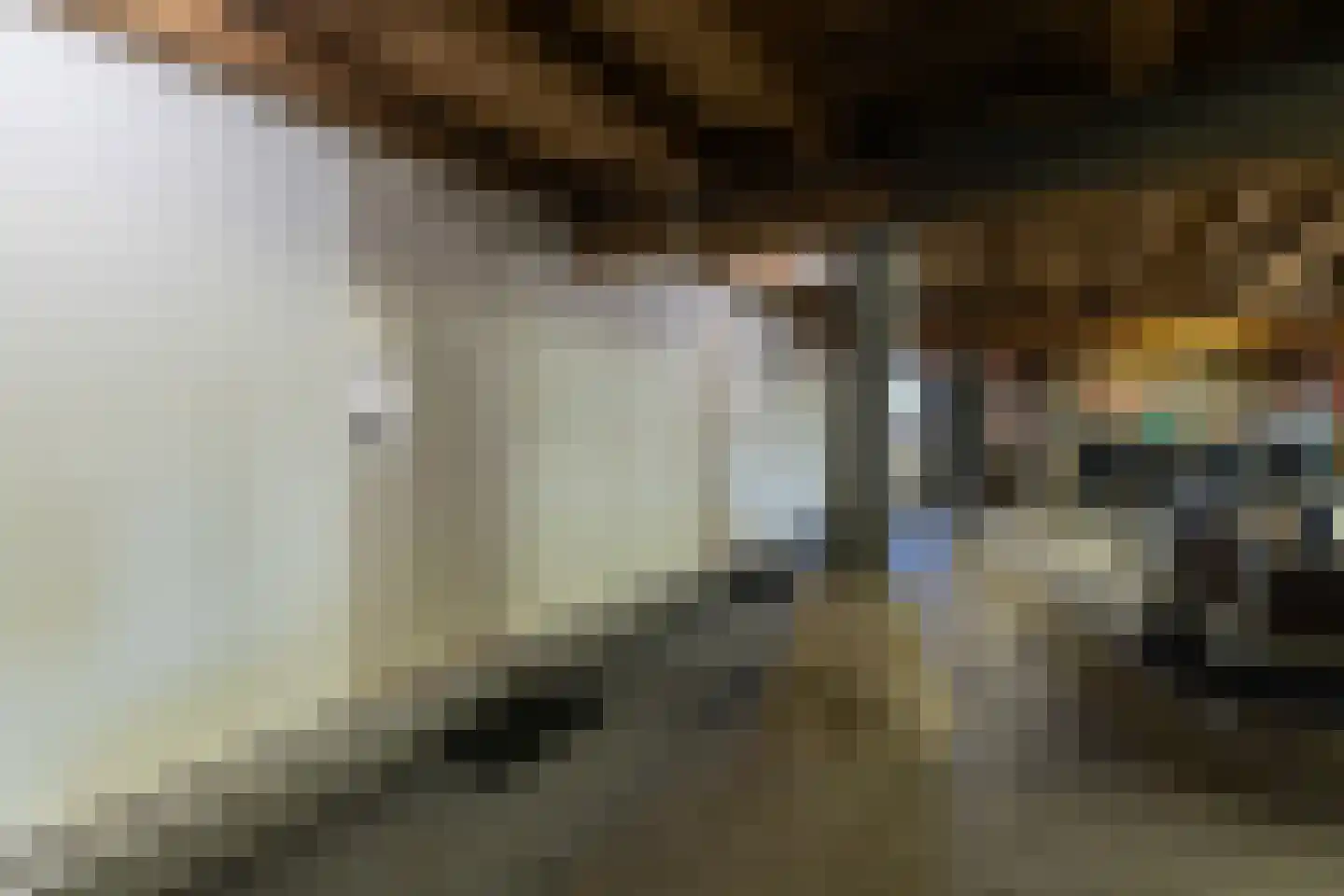 Heulenslag 61 Bleskensgraaf ca thumbnail 42