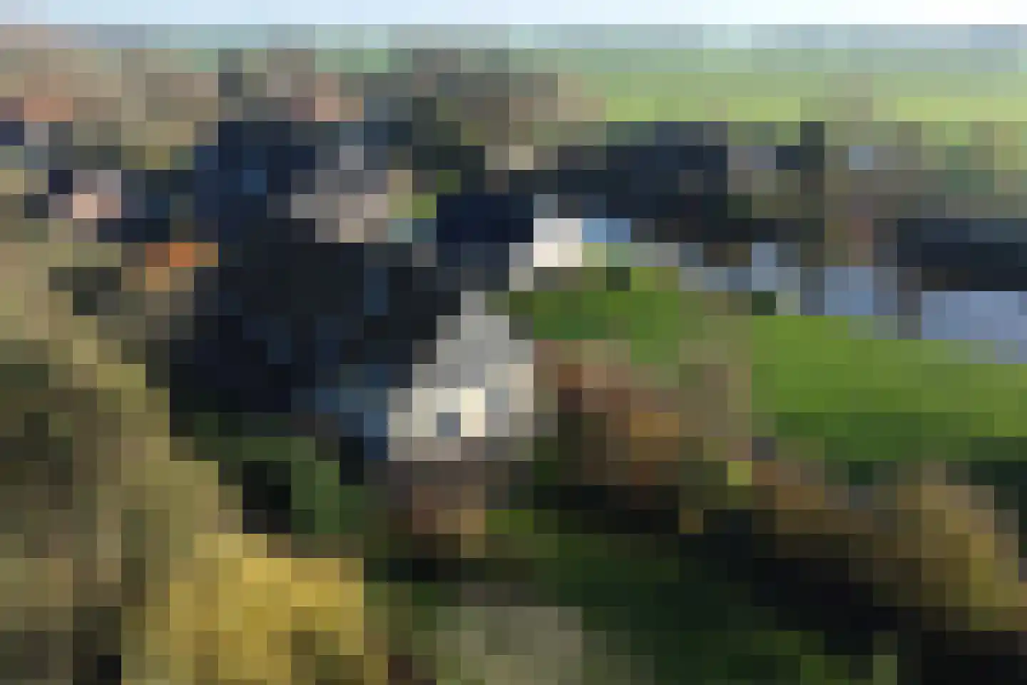 Heulenslag 61 Bleskensgraaf ca thumbnail 6
