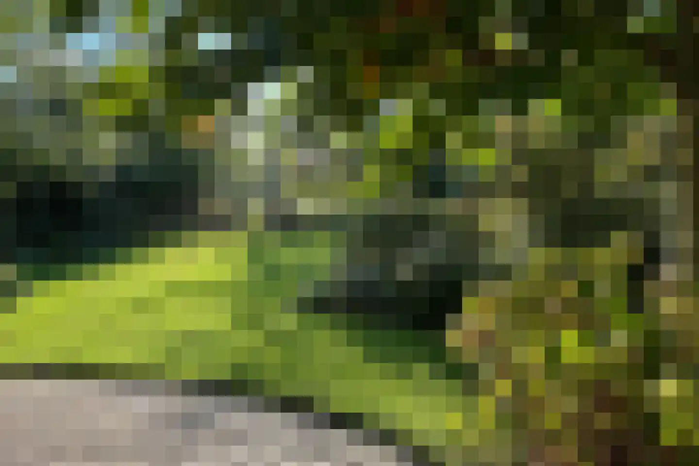 Heulenslag 61 Bleskensgraaf ca thumbnail 75