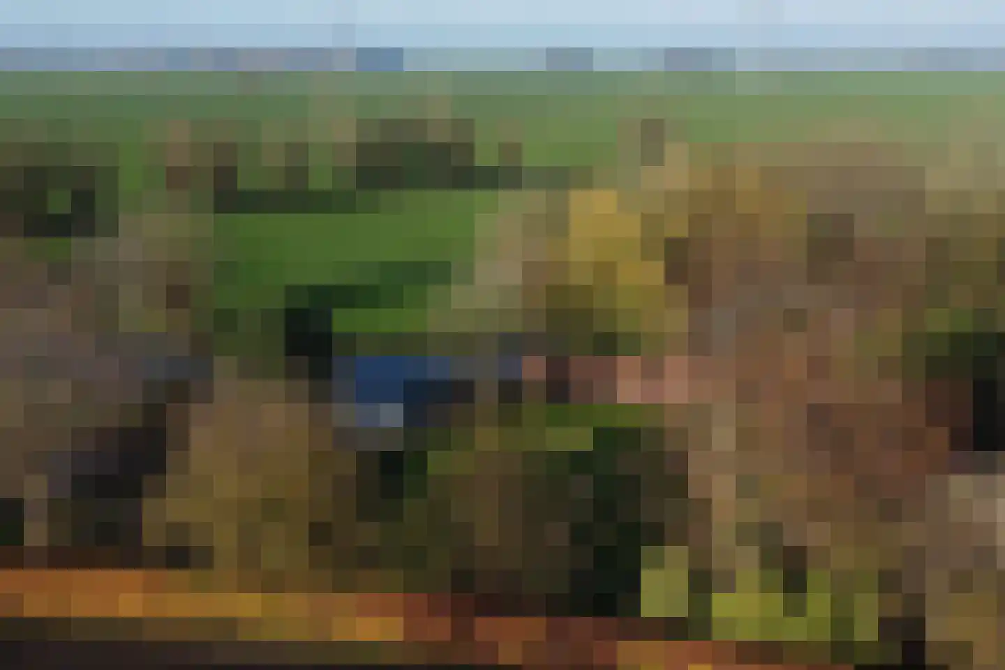 Heulenslag 61 Bleskensgraaf ca thumbnail 77