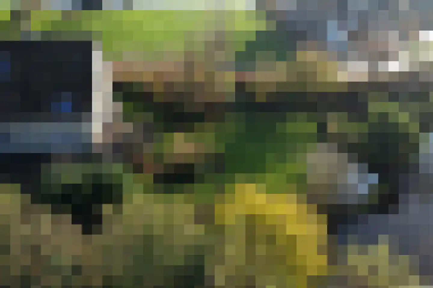 Heulenslag 61 Bleskensgraaf ca thumbnail 78