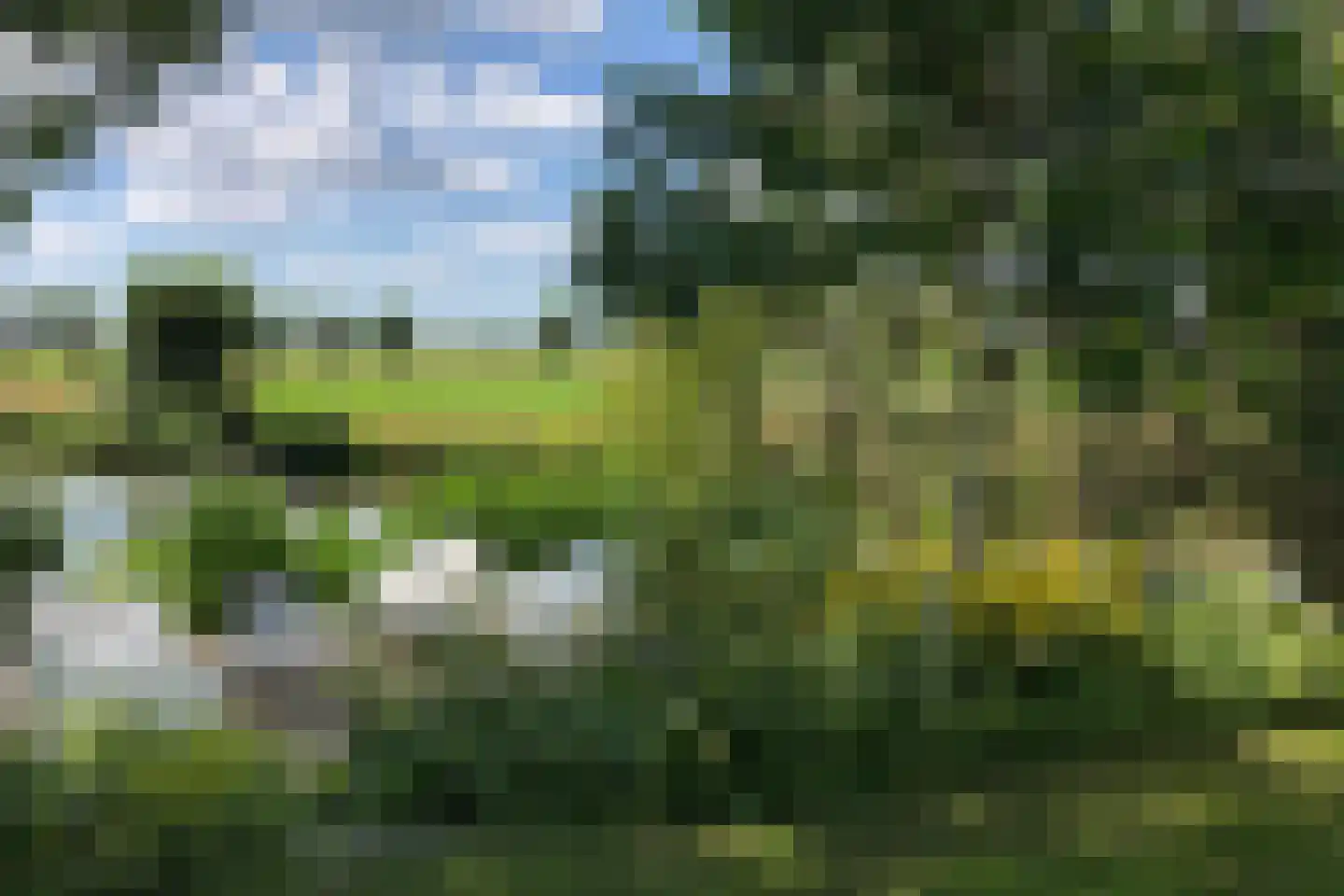 Heulenslag 61 Bleskensgraaf ca thumbnail 79