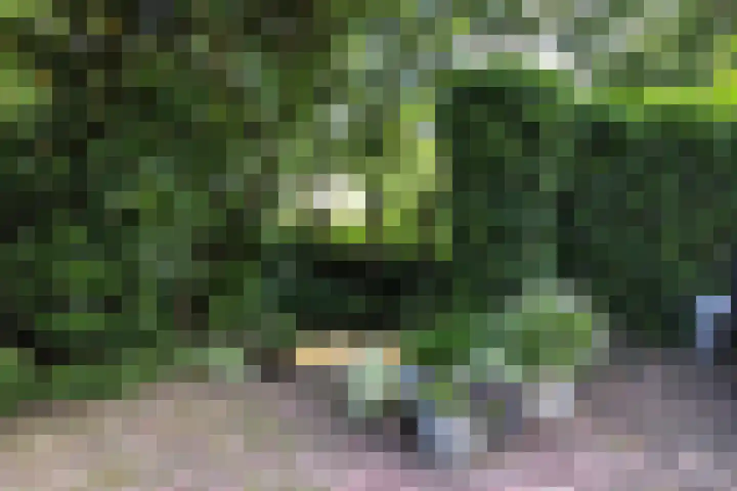 Heulenslag 61 Bleskensgraaf ca thumbnail 86