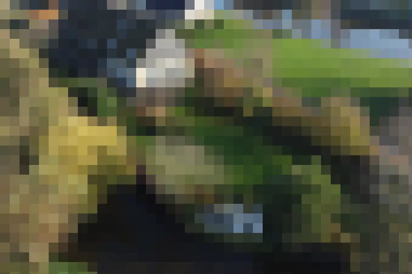 Heulenslag 61 Bleskensgraaf ca thumbnail 88