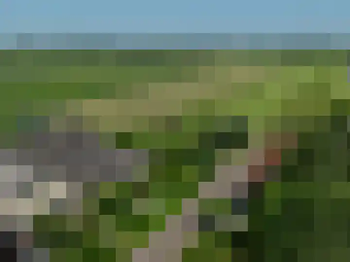 Heulenslag 76 a Bleskensgraaf ca thumbnail 10