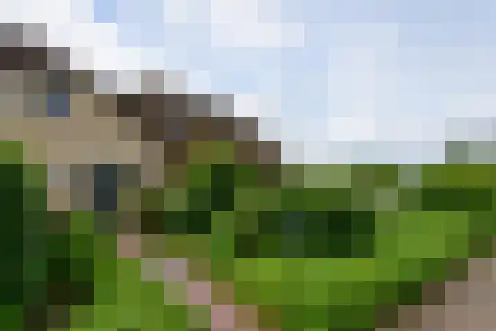 Heulenslag 76 a Bleskensgraaf ca thumbnail 11