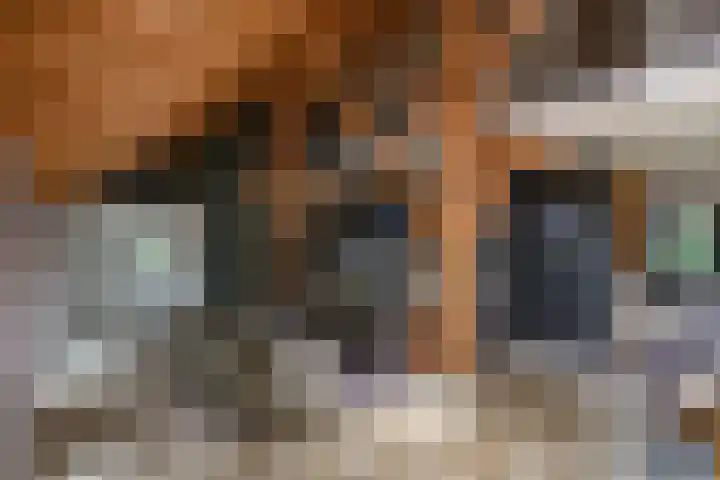 Heulenslag 76 a Bleskensgraaf ca thumbnail 15