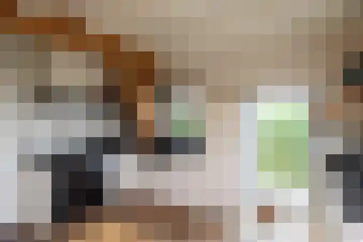 Heulenslag 76 a Bleskensgraaf ca thumbnail 21