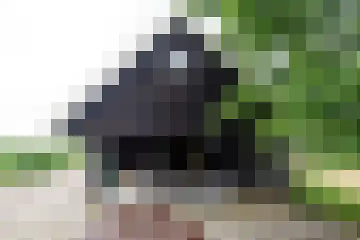 Heulenslag 76 a Bleskensgraaf ca thumbnail 38