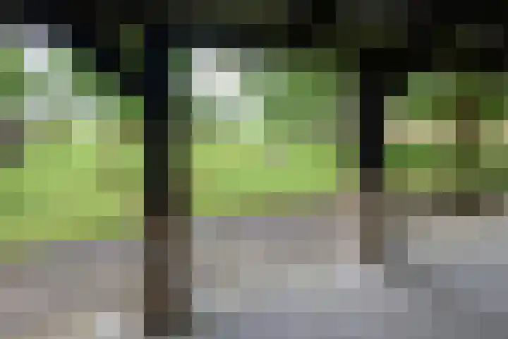 Heulenslag 76 a Bleskensgraaf ca thumbnail 39