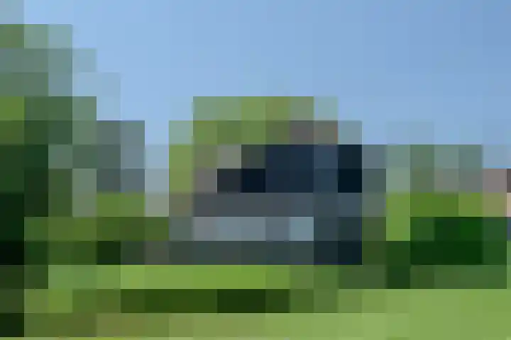 Heulenslag 76 a Bleskensgraaf ca thumbnail 4
