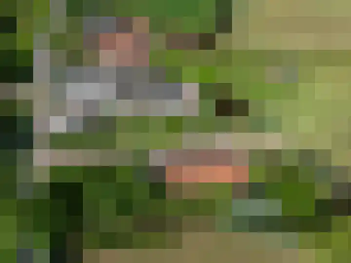 Heulenslag 76 a Bleskensgraaf ca thumbnail 46