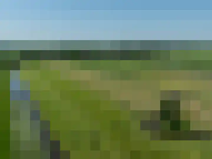Heulenslag 76 a Bleskensgraaf ca thumbnail 47