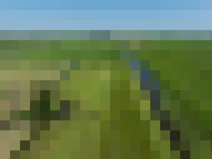 Heulenslag 76 a Bleskensgraaf ca thumbnail 48
