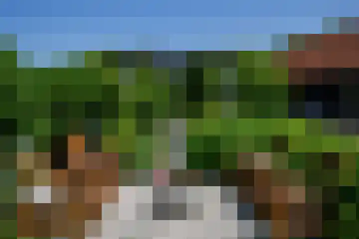 Heulenslag 76 a Bleskensgraaf ca thumbnail 51