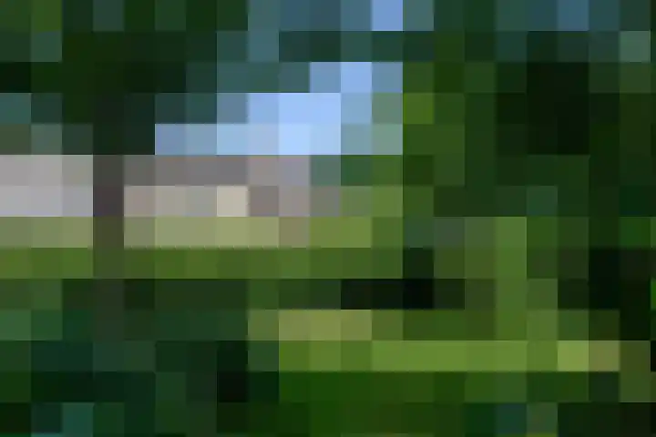 Heulenslag 76 a Bleskensgraaf ca thumbnail 52