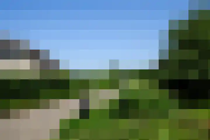 Heulenslag 76 a Bleskensgraaf ca thumbnail 53