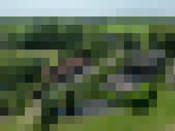 Heulenslag 76 a Bleskensgraaf ca thumbnail 54
