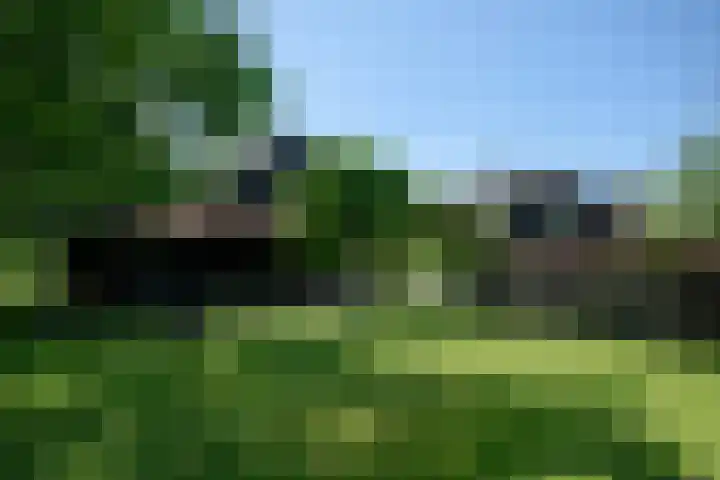 Heulenslag 76 a Bleskensgraaf ca thumbnail 9