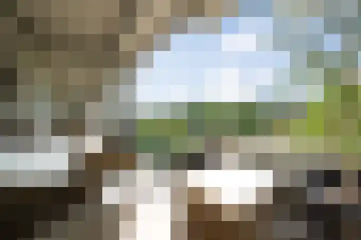 Heunpark 3322 Vught thumbnail 43
