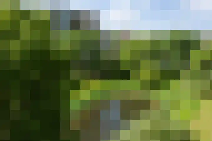 Heunpark 3322 Vught thumbnail 47
