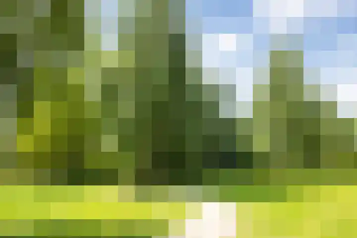 Heunpark 3322 Vught thumbnail 63