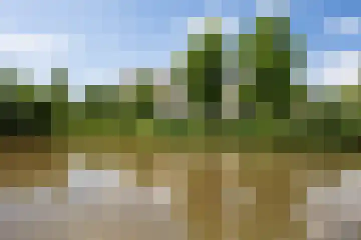 Heunpark 3322 Vught thumbnail 75