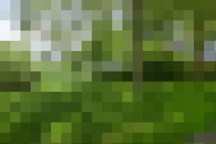 Heunpark 4413 Vught thumbnail 38