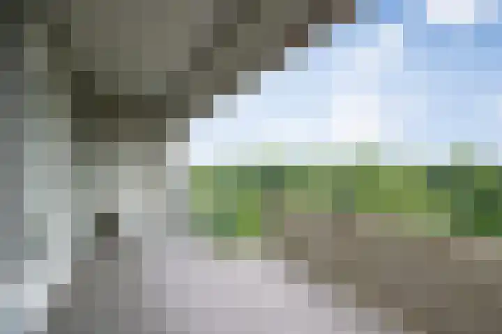 Heunpark 4612 Vught thumbnail 11
