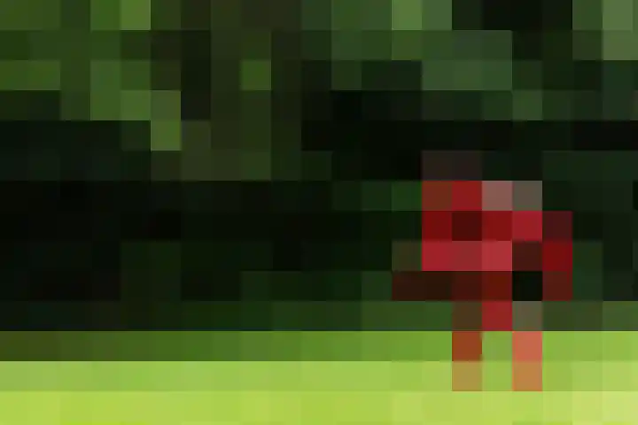 Heunpark 4612 Vught thumbnail 21