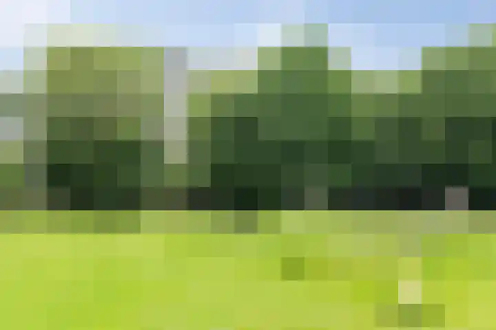 Heunpark 4612 Vught thumbnail 23